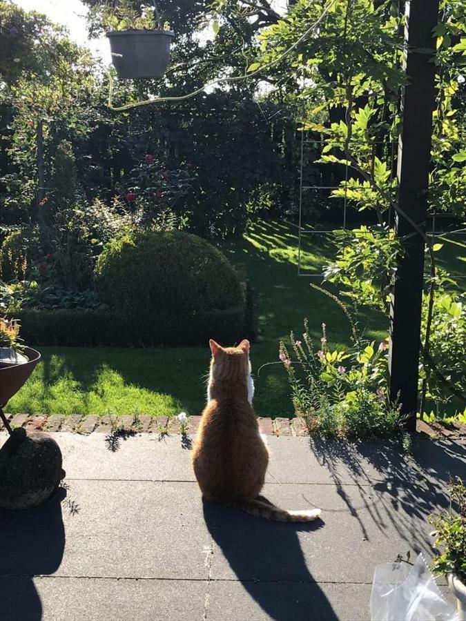 B&B 'T Pakhuis Meteren Exteriér fotografie